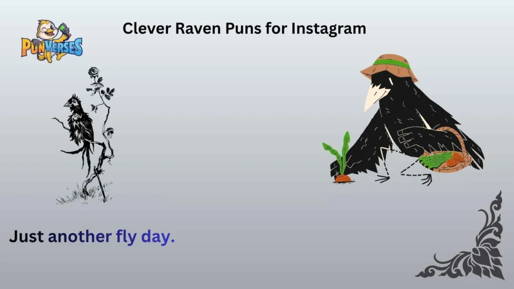 Clever Raven Puns for Instagram