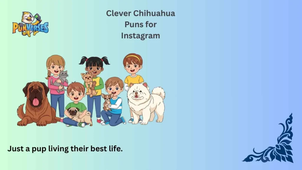 Clever Chihuahua Puns for Instagram