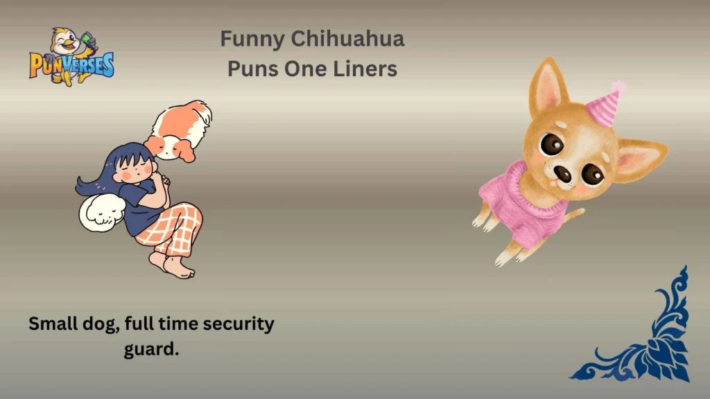 Funny Chihuahua Puns One Liners