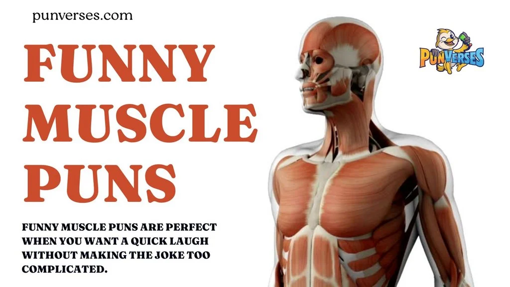 Funny Muscle Puns