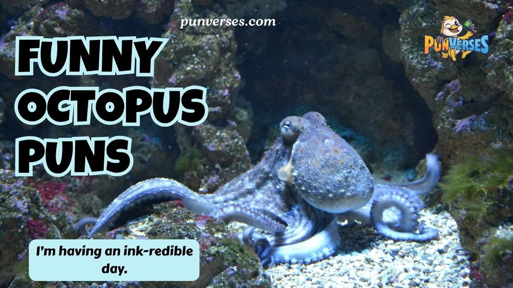 Funny Octopus Puns