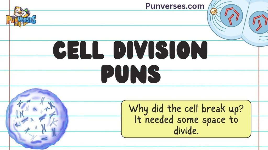 Cell Division Puns