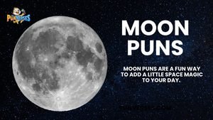 Moon Puns