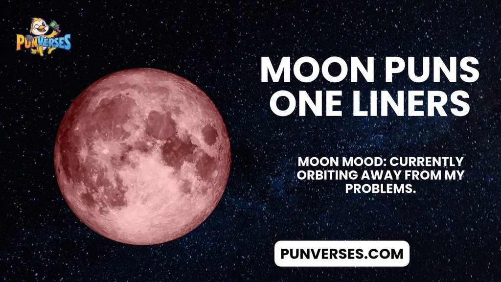 Moon Puns One Liners