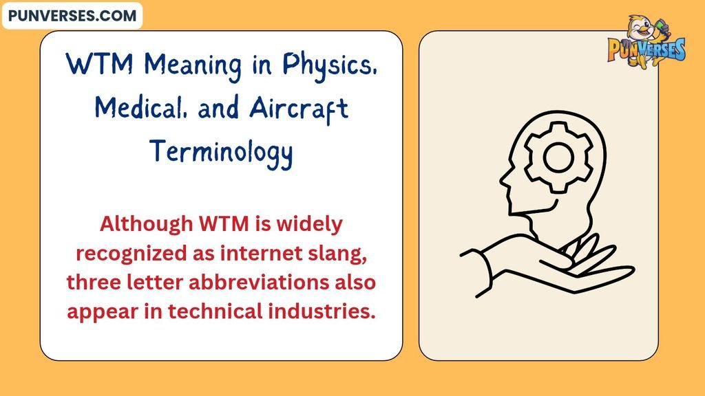 WTM Meaning in Physics, Medical, and Aircraft Terminology